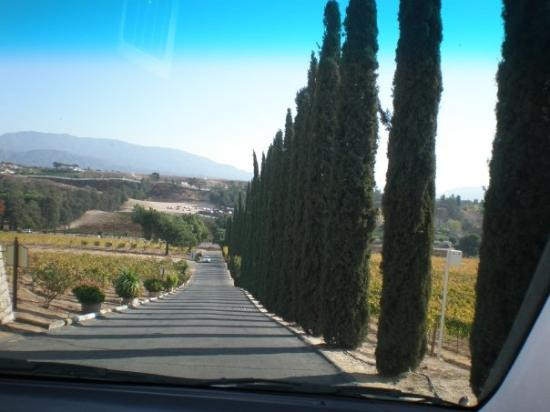 Callaway Vineyard and Winery-特曼库拉必去景点