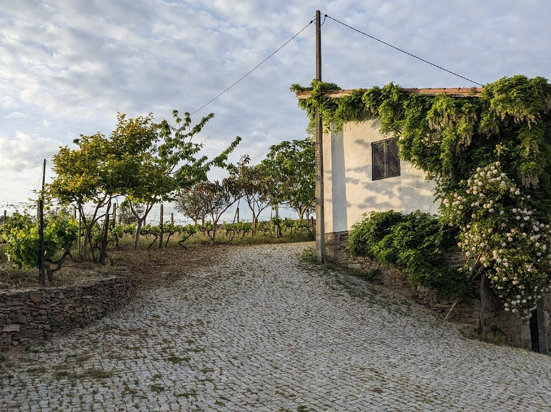 Quinta do Roncão景点图片