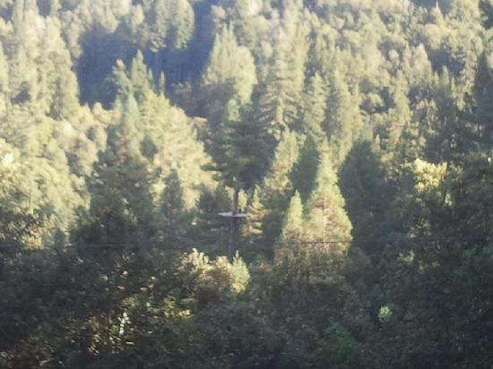 Sonoma Zipline Adventures景点图片