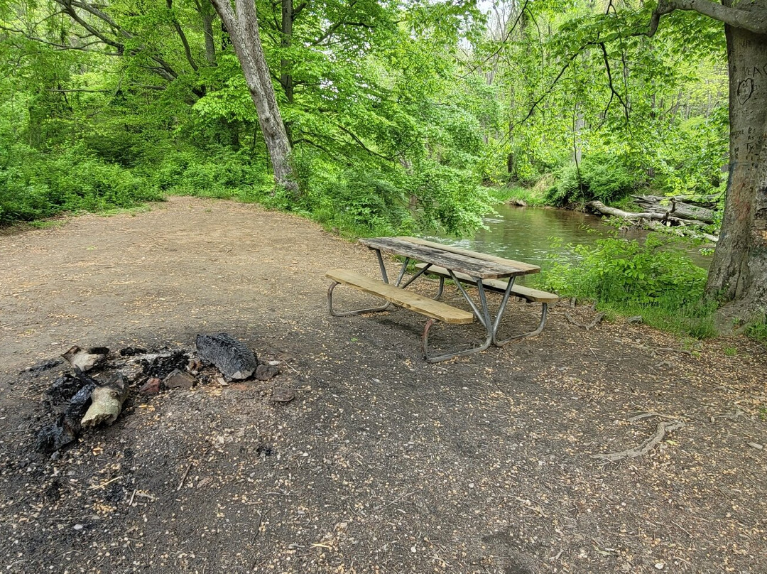 Deer Creek Conservation Area-Forest Hill必去景点