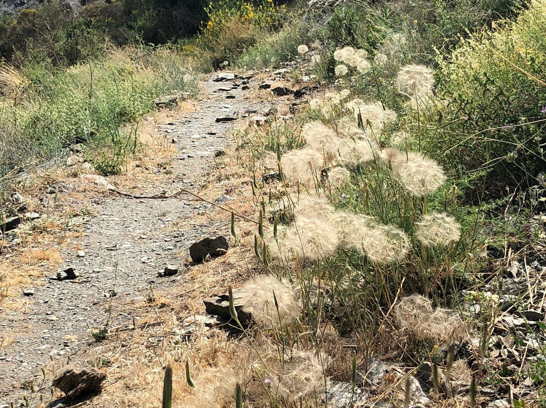 Capileira Mountain Trail景点图片