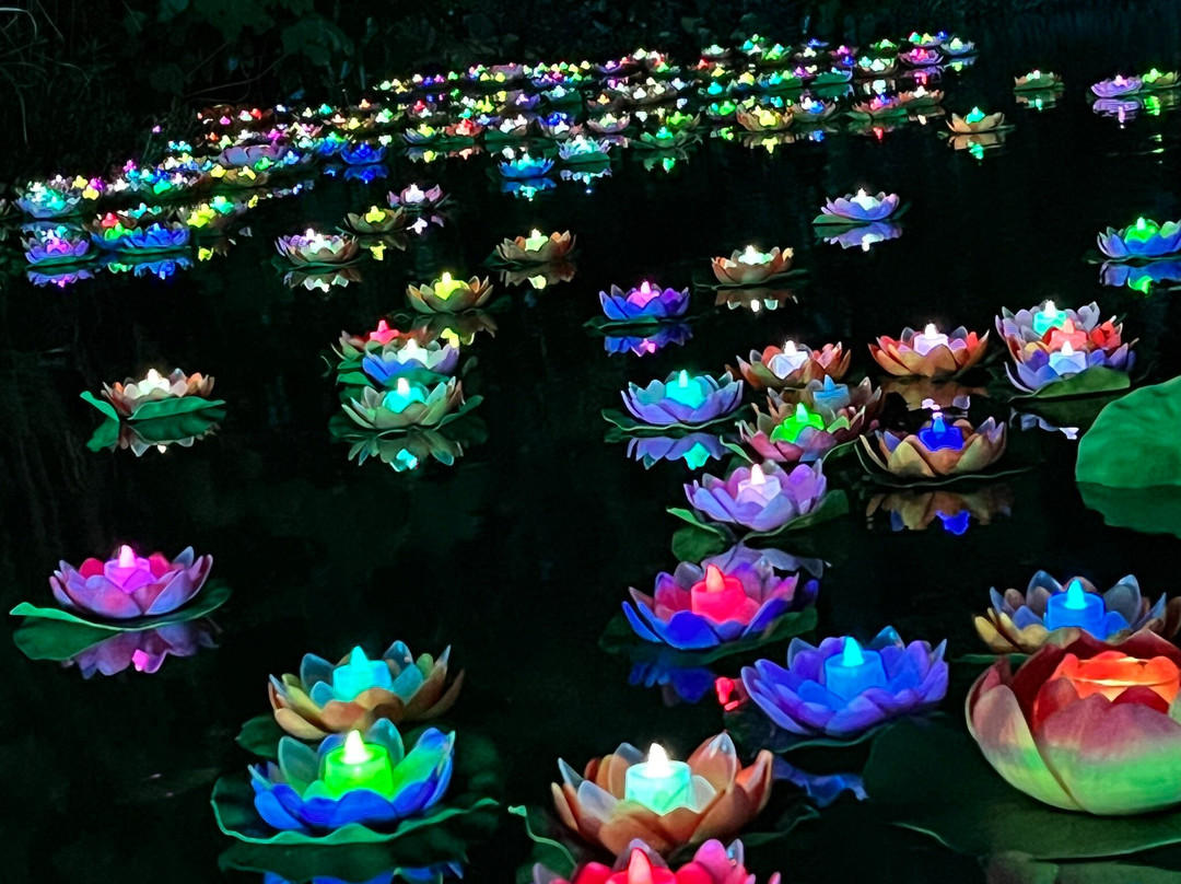 印象普陀-舟山市必去景点