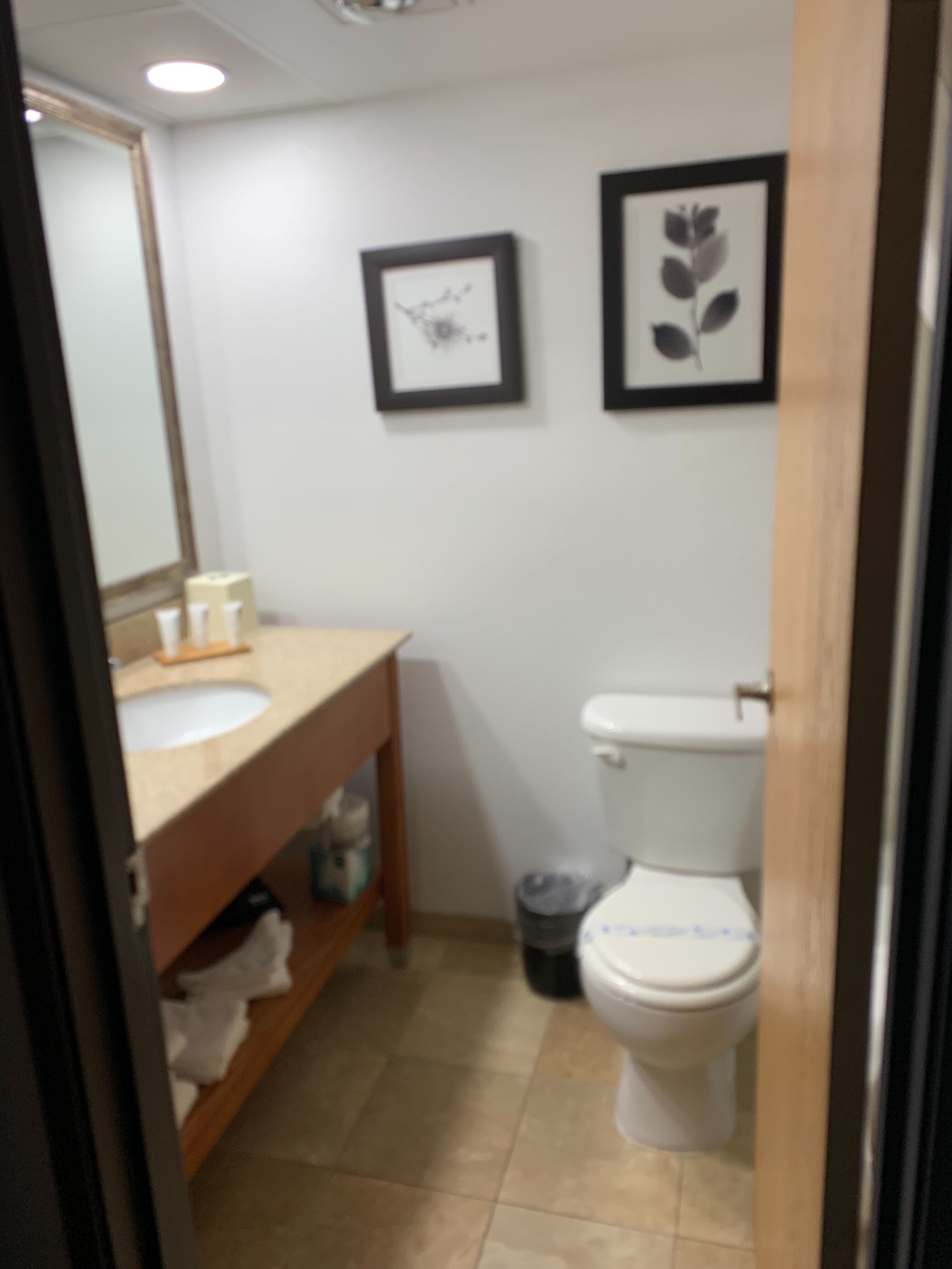 Country Inn & Suites by Radisson, Lincoln Airport, NE-浴室