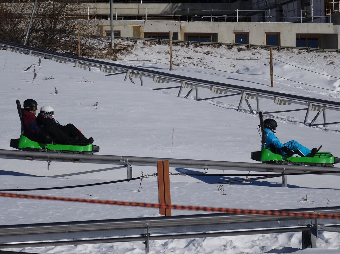 Luge 4 Saisons sur Rail景点图片