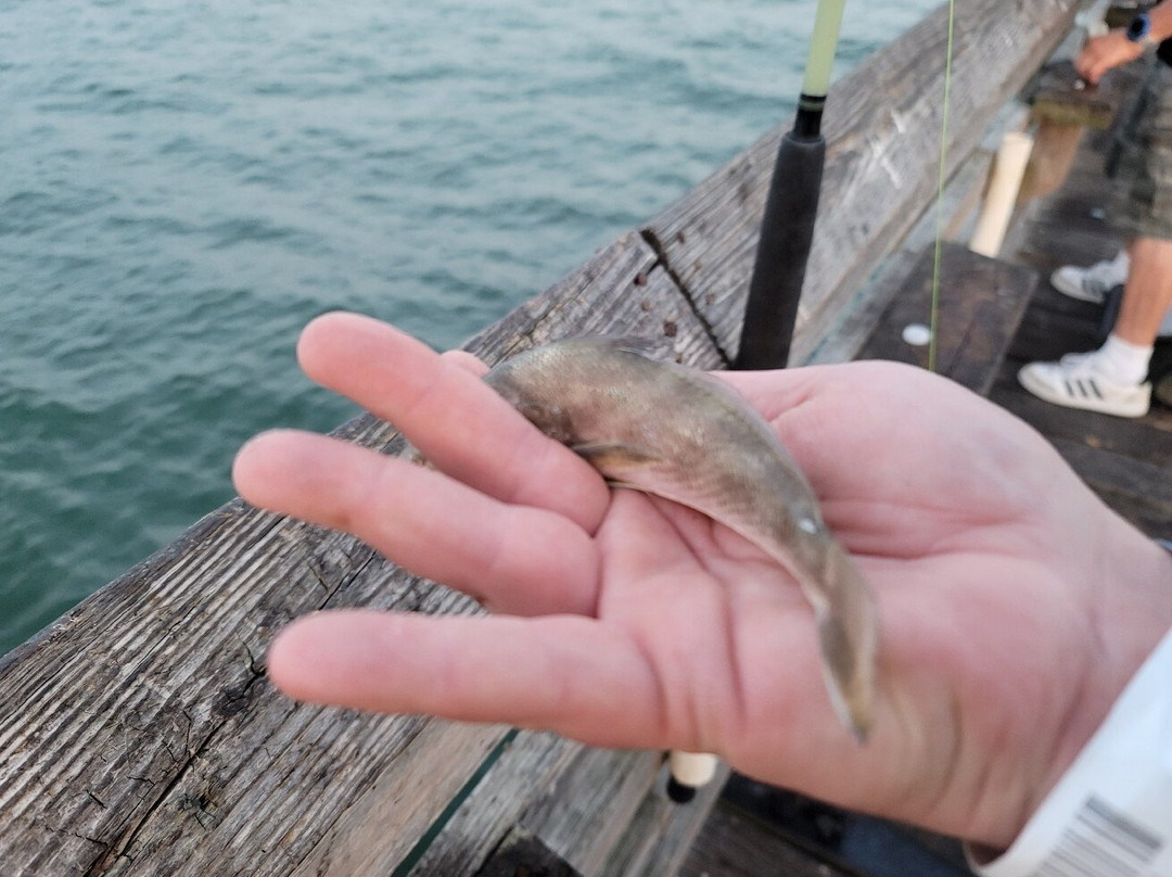 Galveston's 61st Street Fishing Pier-盖维斯顿必去景点