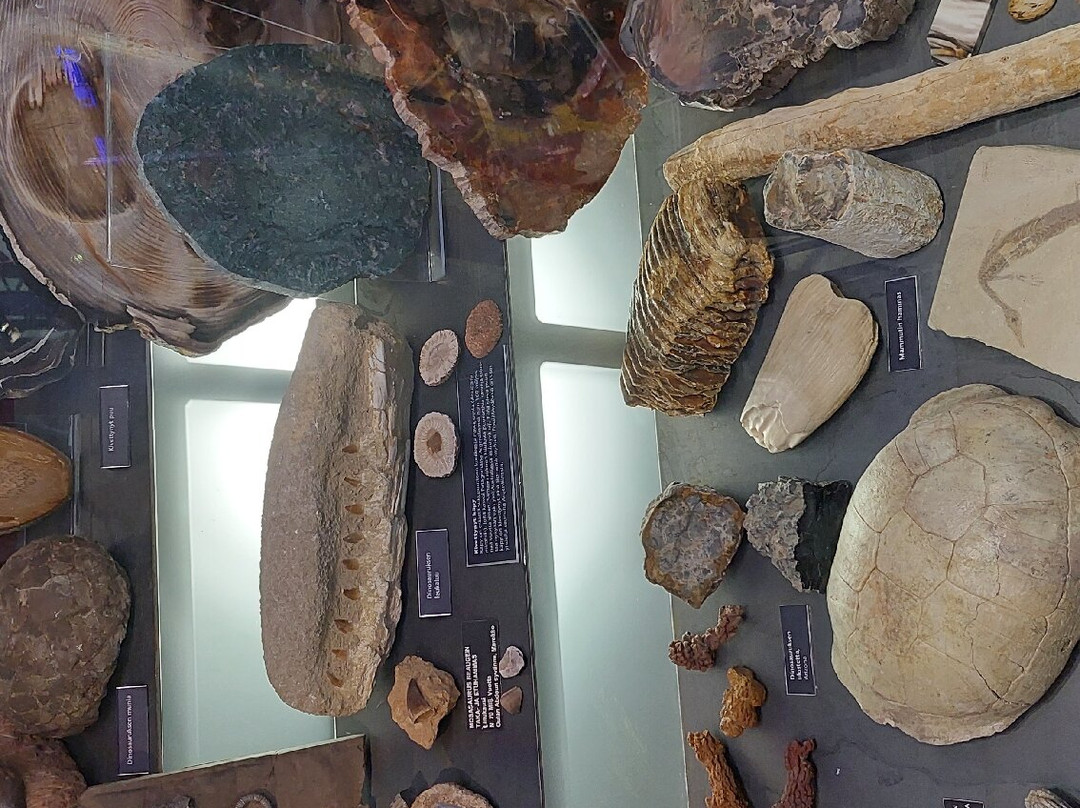 Tampere Mineral Museum-坦佩雷必去景点