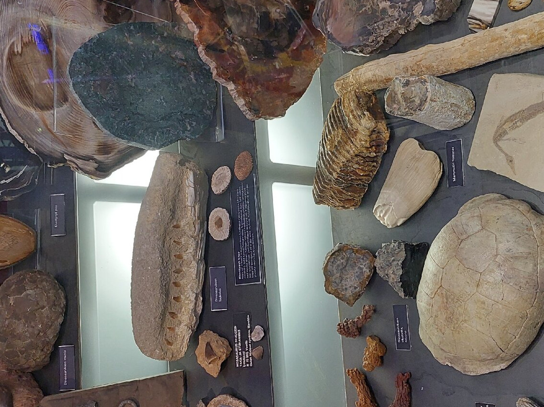 Tampere Mineral Museum景点图片