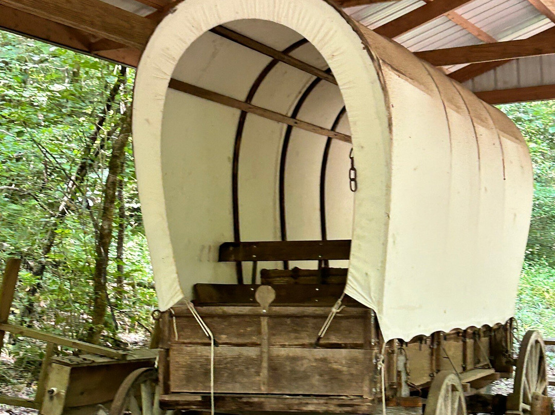 Falls Mill Log Cabin主图