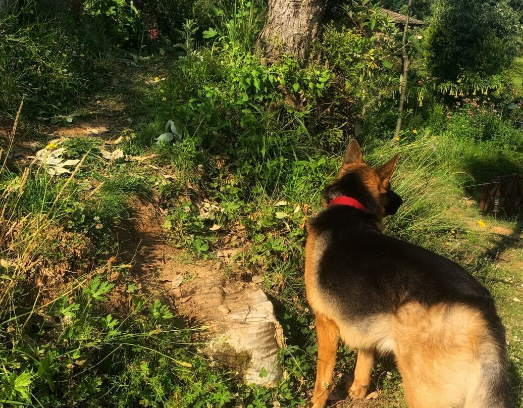 Oak Climbing Resort主图