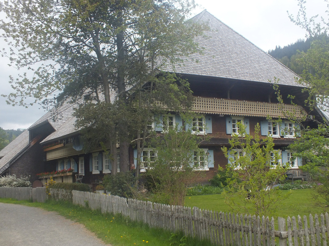 Altstadt Menzenschwand-Menzenschwand必去景点