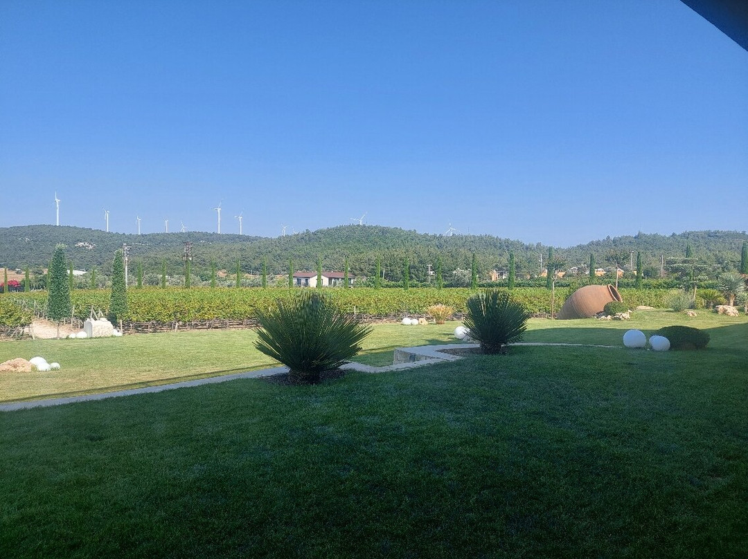 Urla Winery景点图片