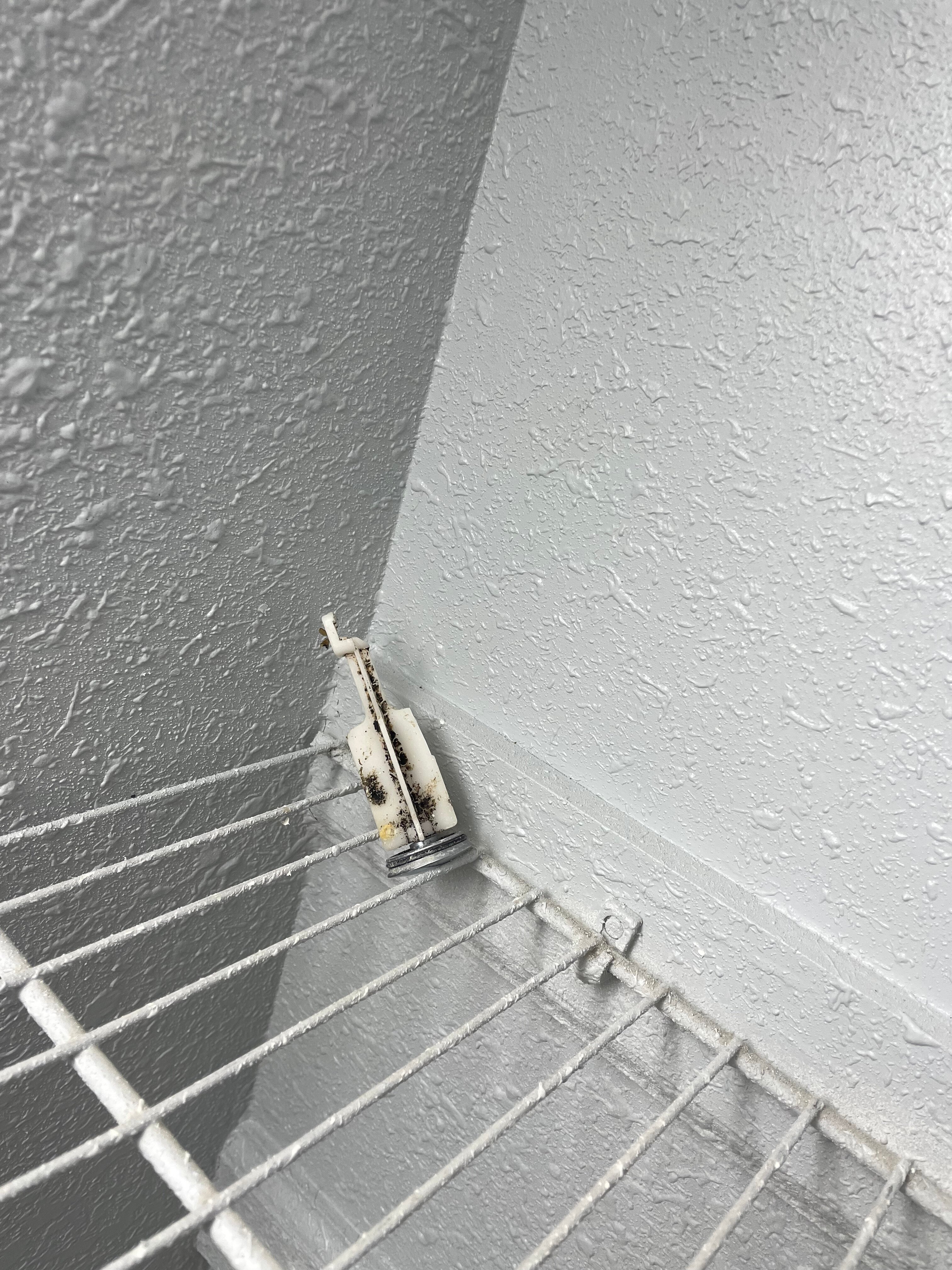 Econo Lodge Ruther Glen-浴室