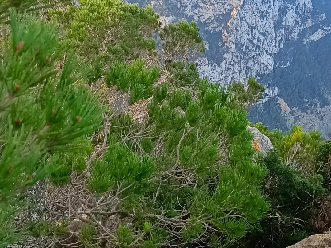 MIrador de Cala Sardina