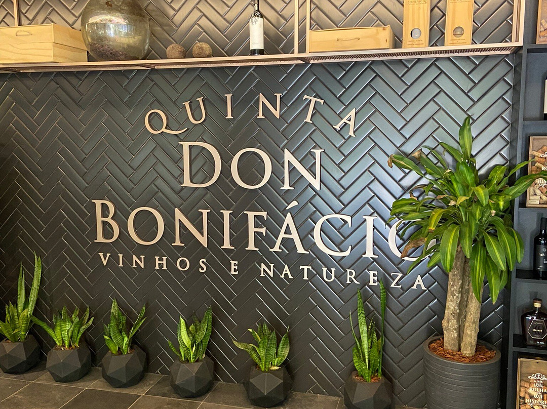 Vinicola Quinta Don Bonifacio景点图片