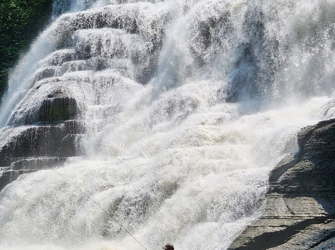 Ithaca Falls Natural Area景点图片