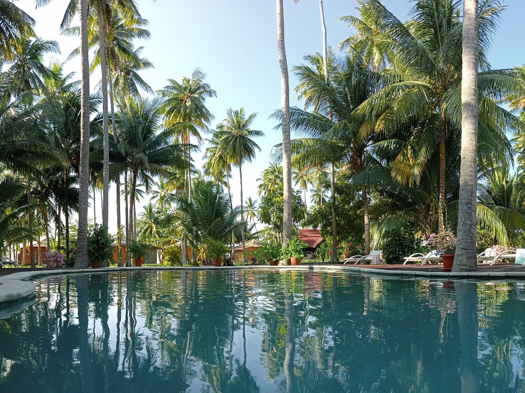 Virgin Cocoa - Tropical Hideaway Island主图