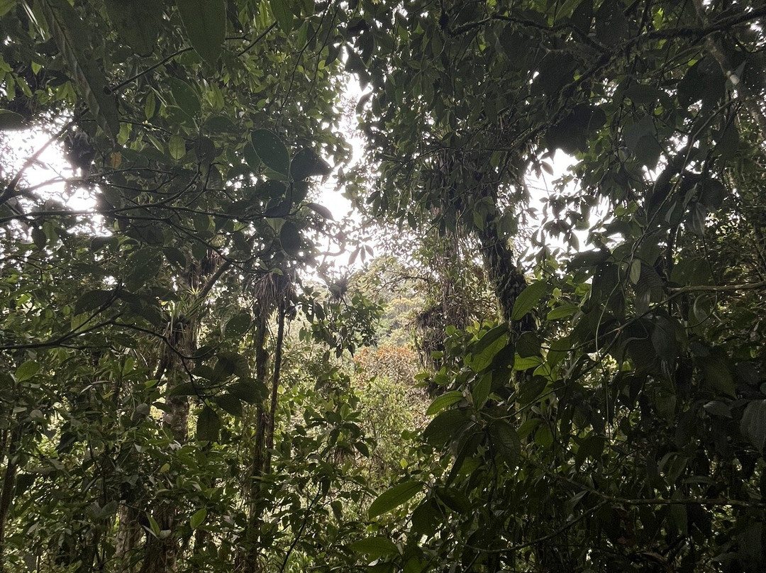 El Palacio del Barbas-Filandia必去景点