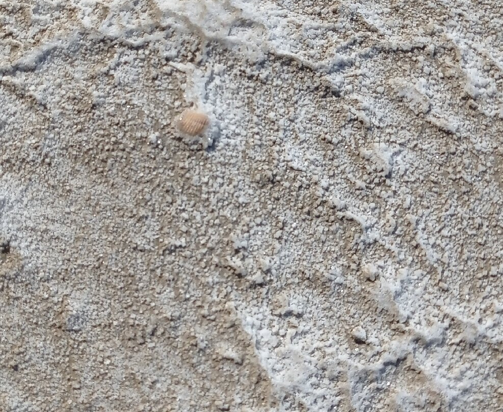 Ygrótopos Alykís - Chortarolímnis-Kondopoúlion必去景点