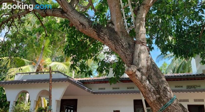 The White House主图