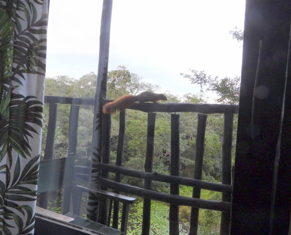 Shimba Hills Lodge主图