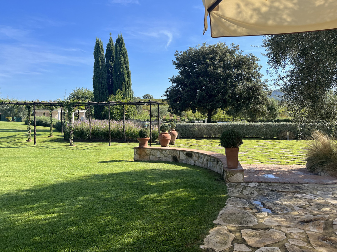 Agriturismo Il Casale degli Olivi主图