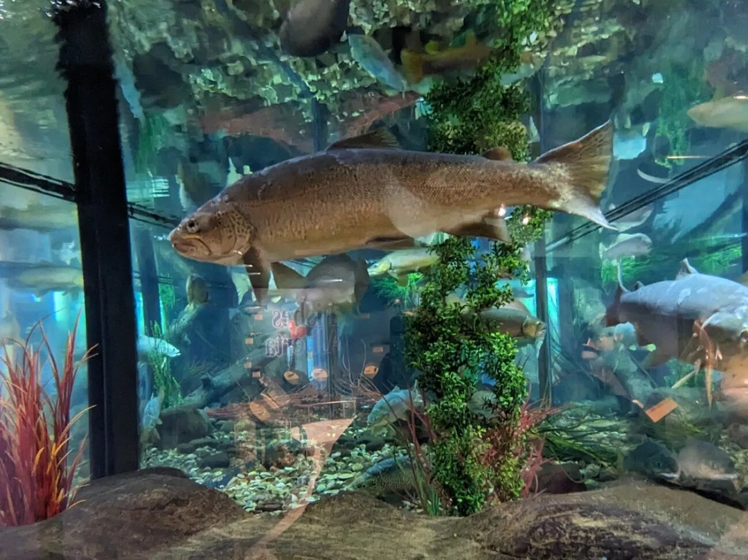 Bow Habitat Station & Sam Livingston Fish Hatchery-卡尔加里必去景点