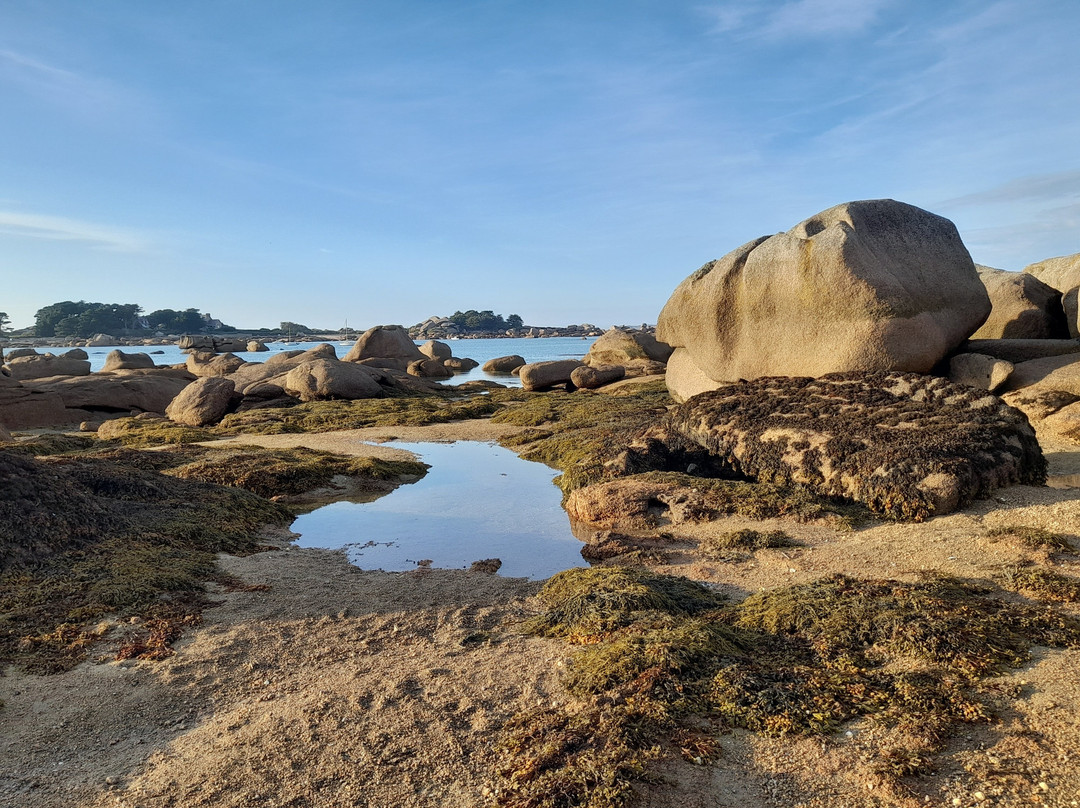 Plage de Tourony景点图片