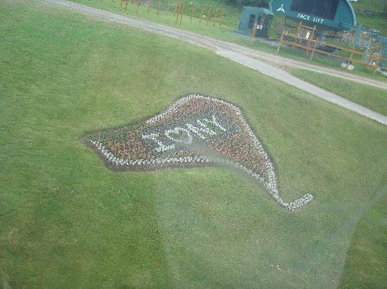Whiteface Mountain-Wilmington必去景点