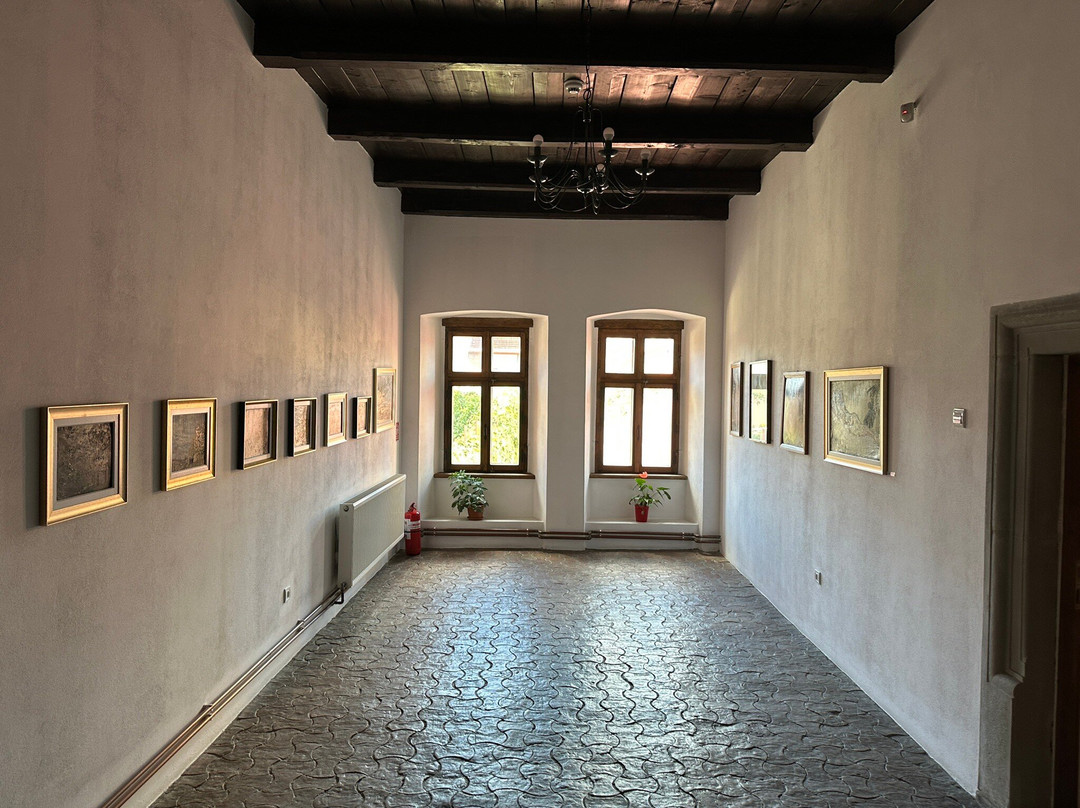 Casa Argintarului景点图片