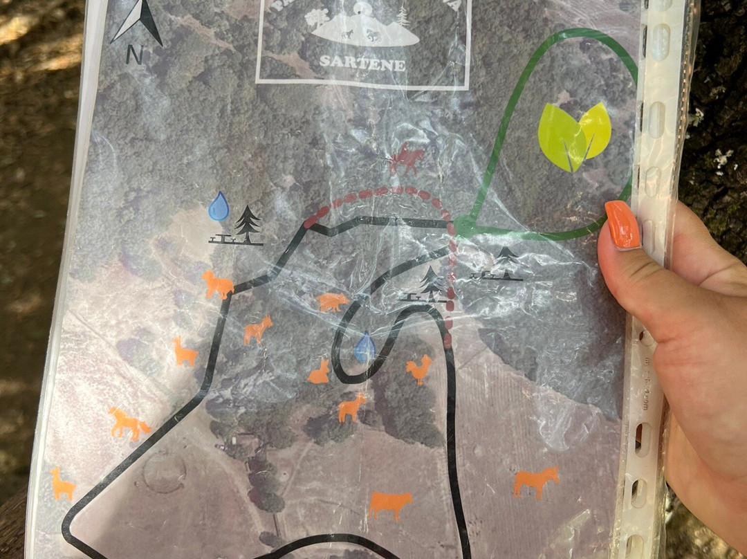 Parc Naturel D'Olva景点图片