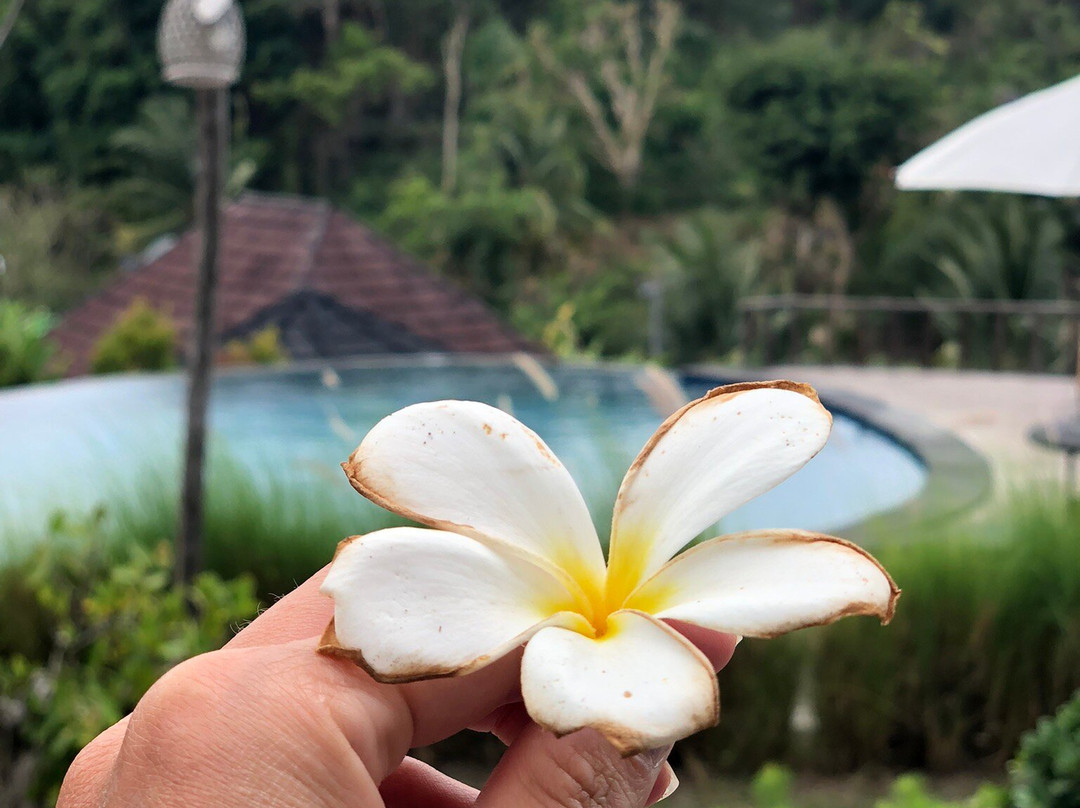 The Kleep Jungle Resort主图