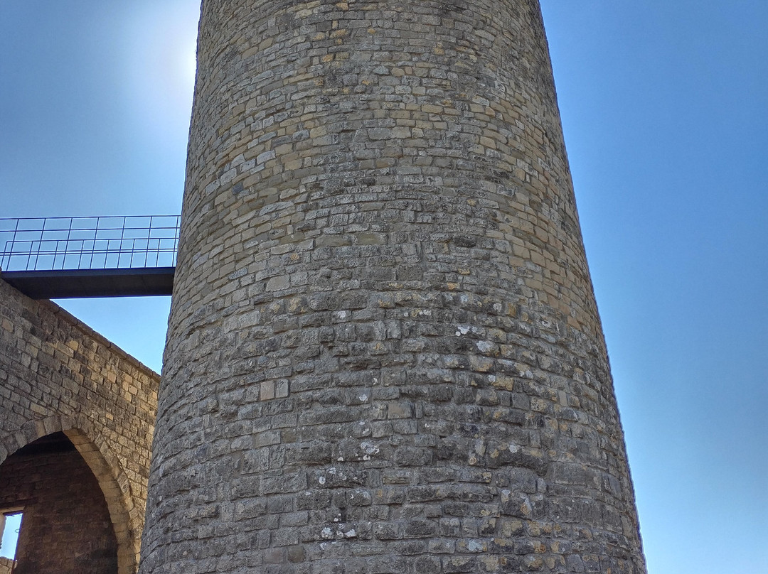 Castell de Boixadors景点图片
