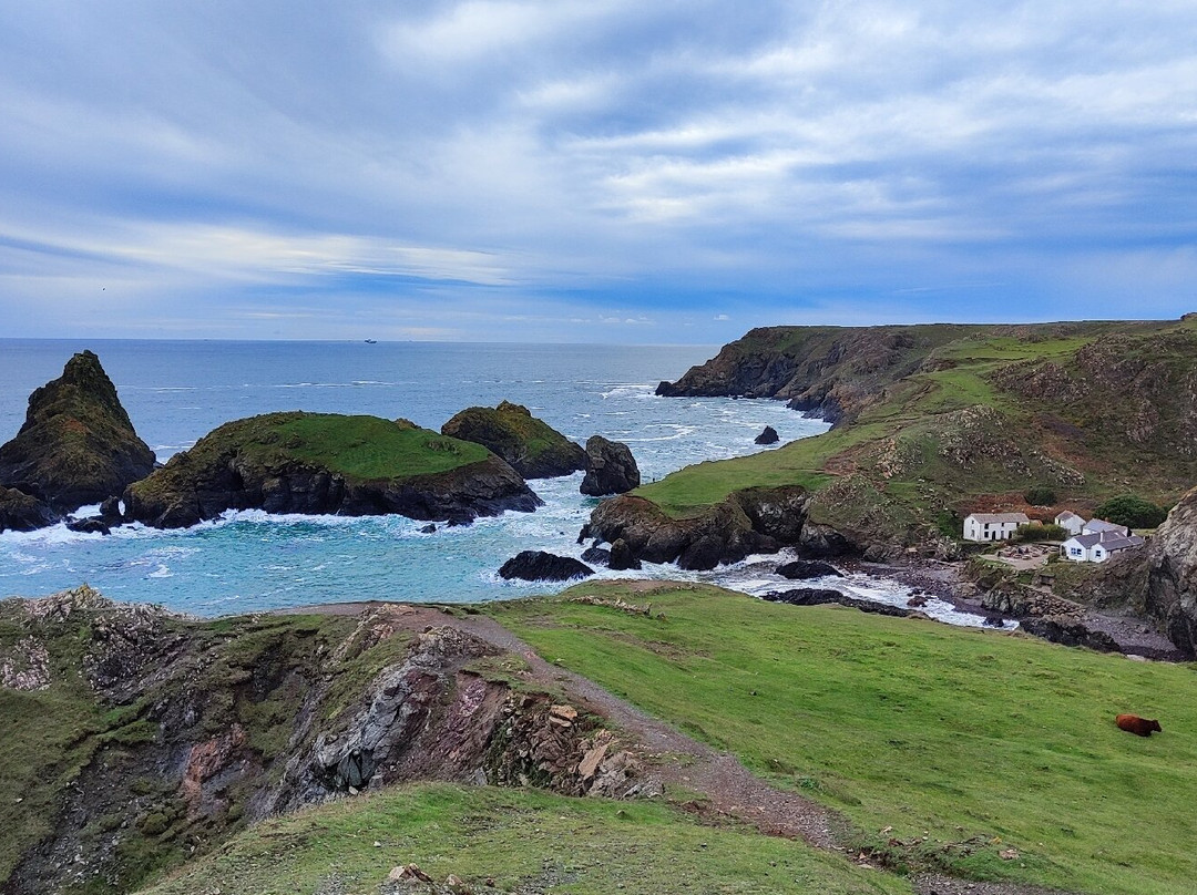 Penmenner House主图