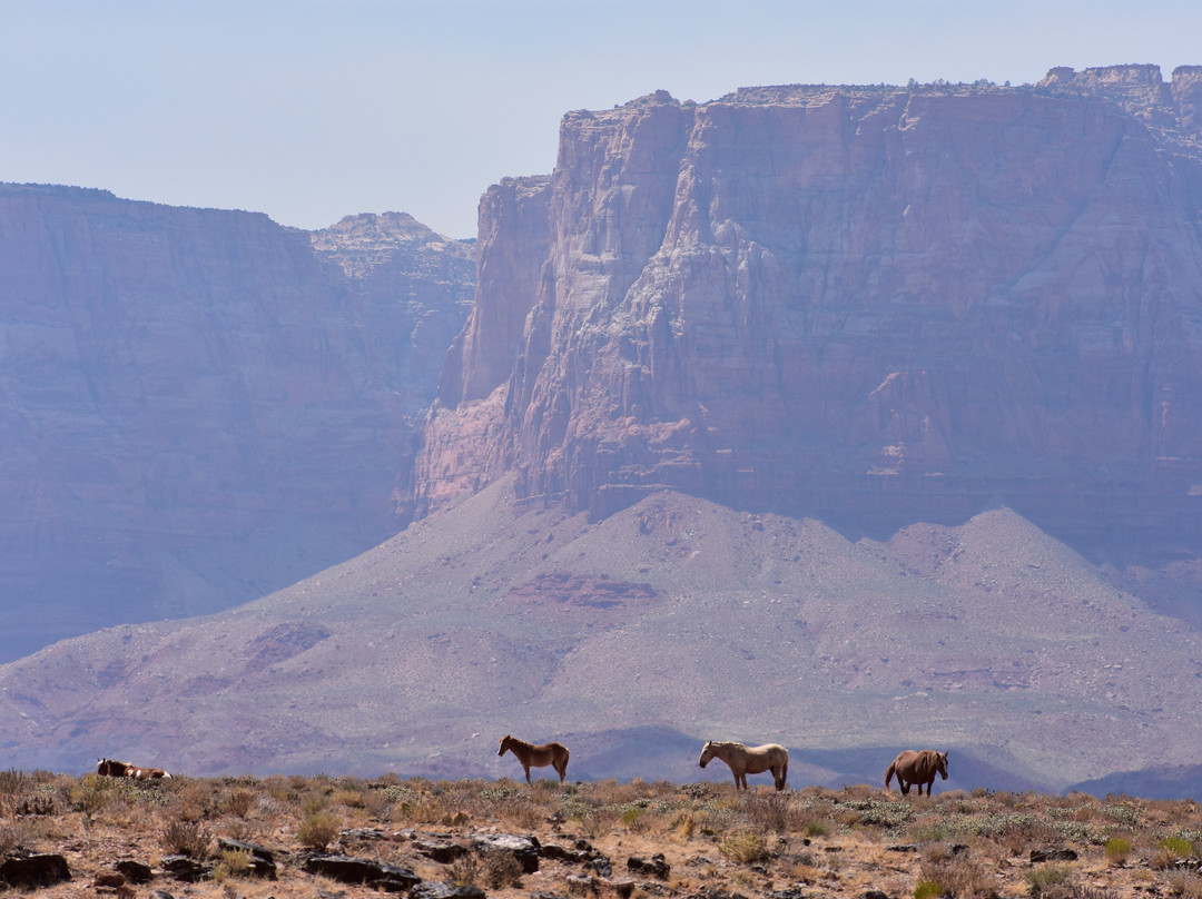 Vermillion Cliffs Scenic Highway-大理石峡谷必去景点