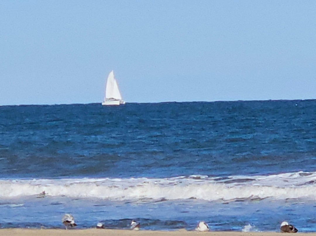 Coastal Hotel & Suites Virginia Beach - Oceanfront主图