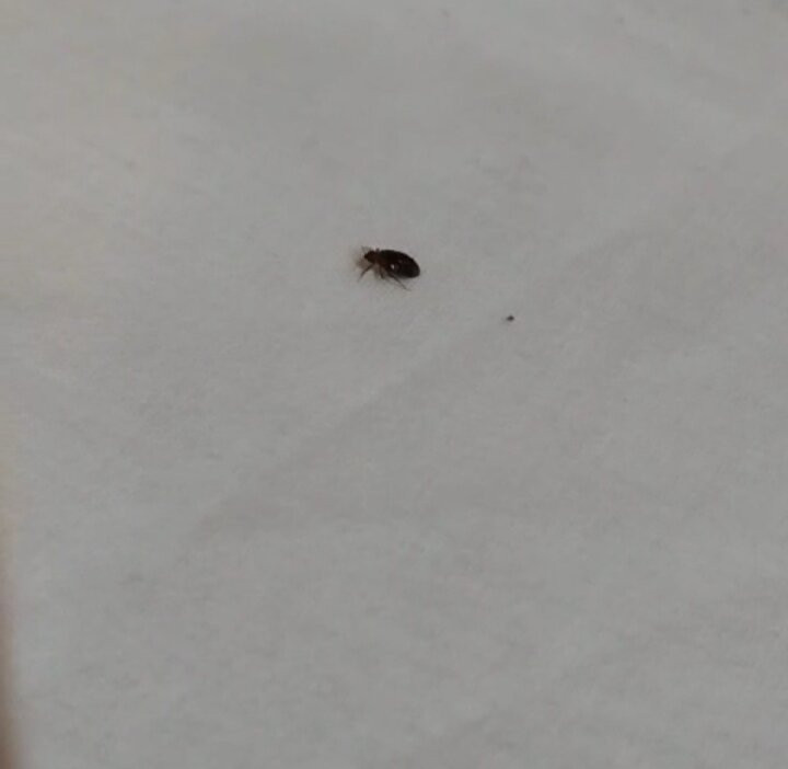 Hotel Casa Garatusa主图