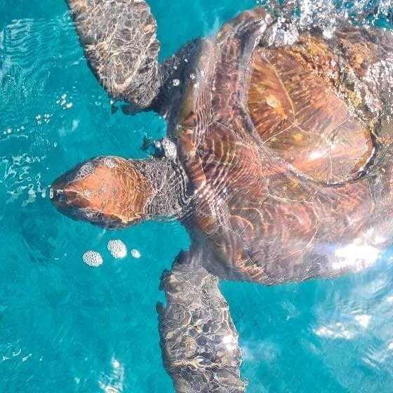 Sao Pedro Beach-São Pedro必去景点