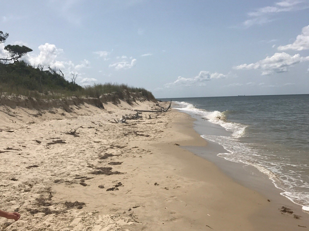 Savage Neck Dunes Dunes Natural Area Preserve-Eastville必去景点