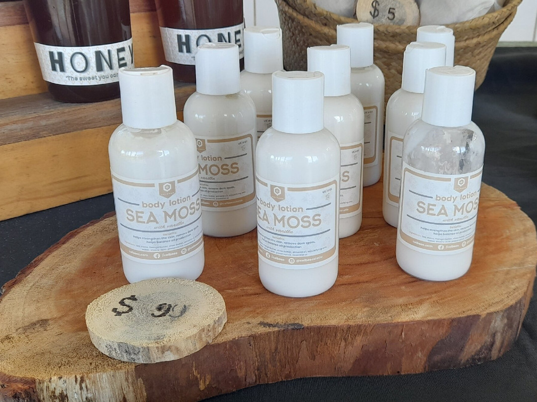 Celbees-Oranjestad必去景点