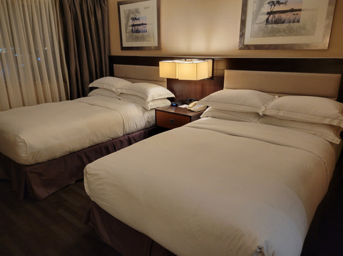 温尼伯机场希尔顿套房酒店主图