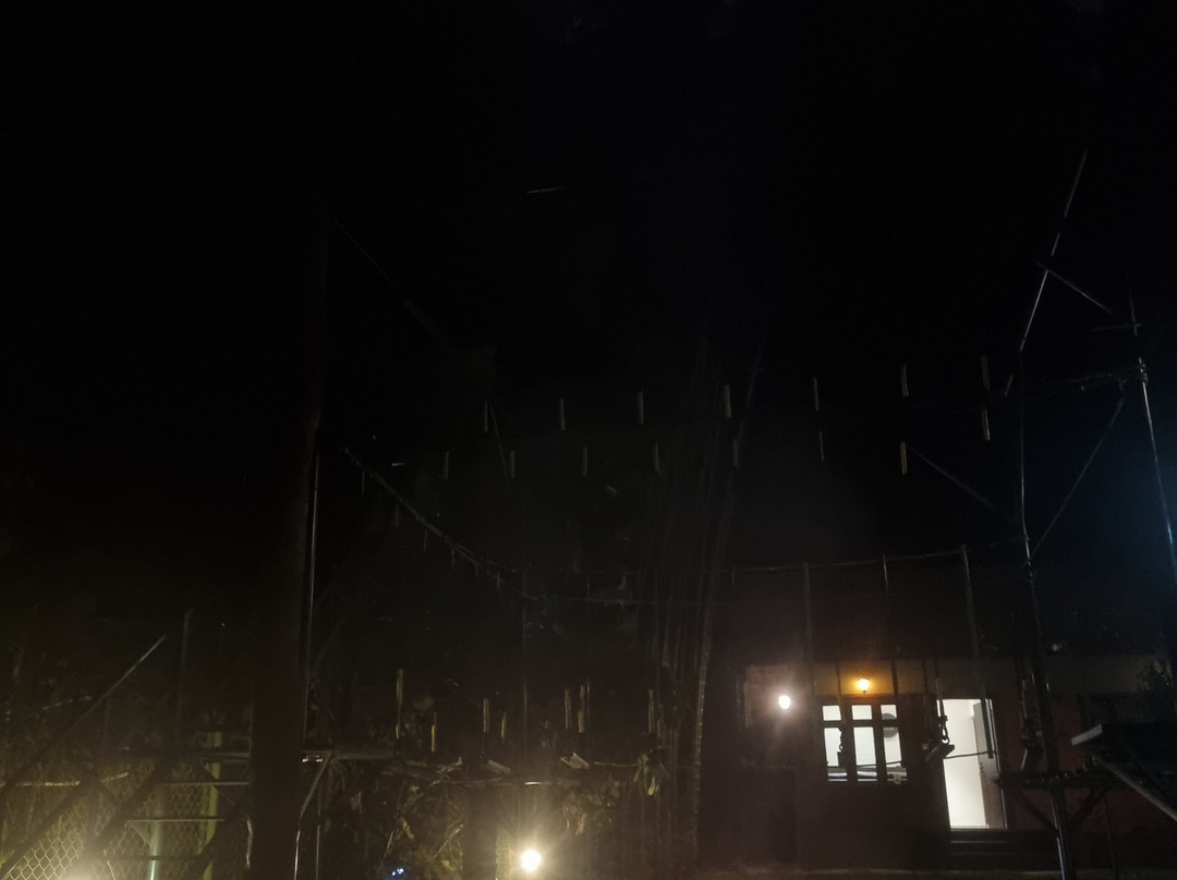 Adrak Mountain Mist Forest Resort主图