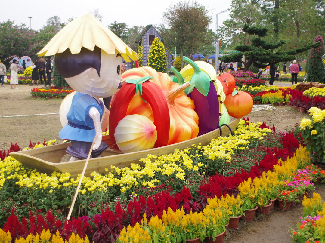 菊城金瓣-中山市必去景点