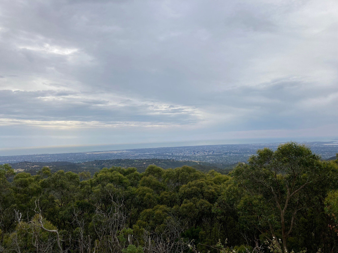 Bums On Seats Day Tours-阿德莱德必去景点