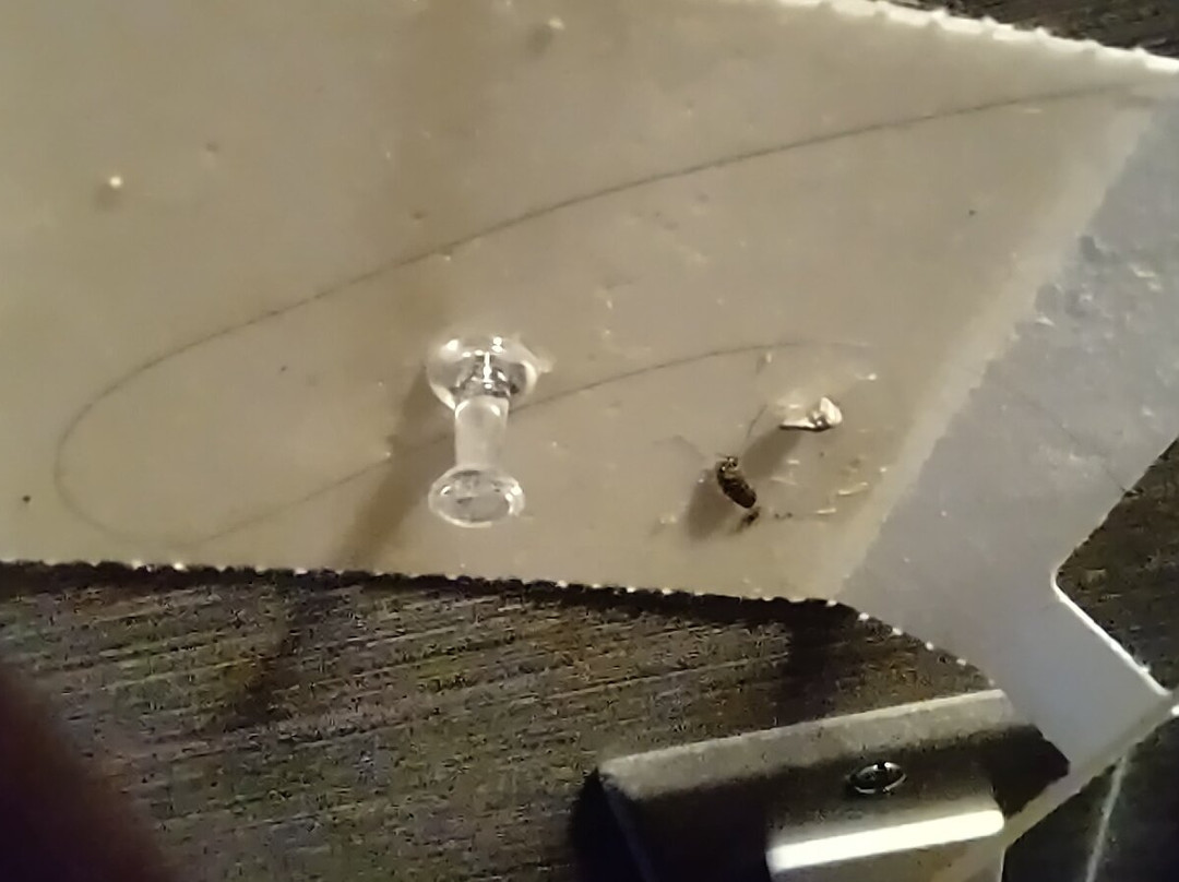 Hotel Forestel主图