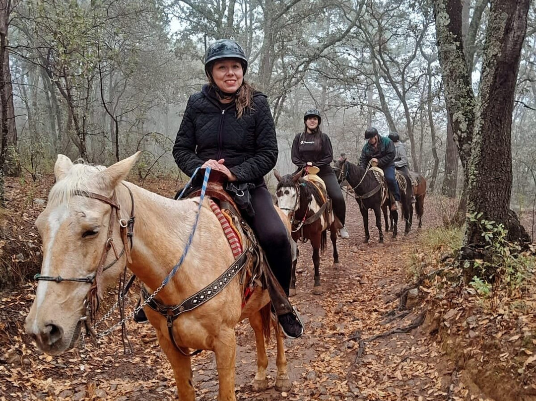 Caballos Huasca Tours-华斯卡德奥坎波必去景点