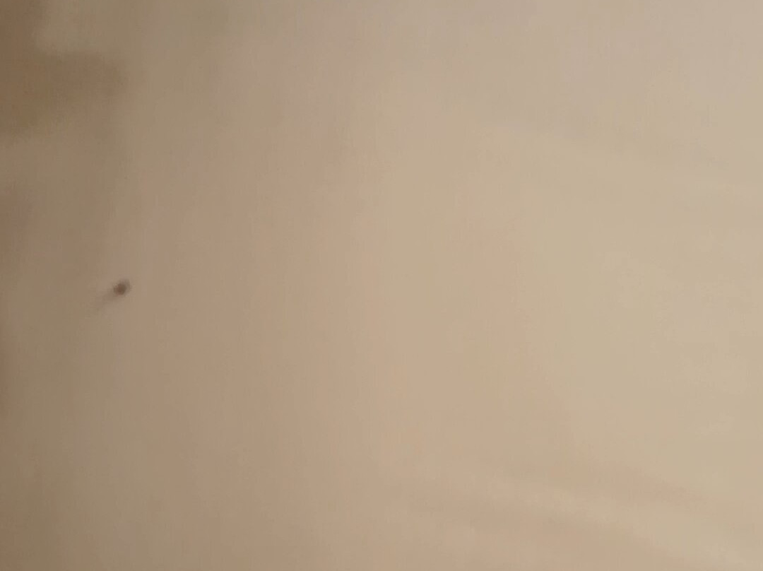 Albergo Moleta主图
