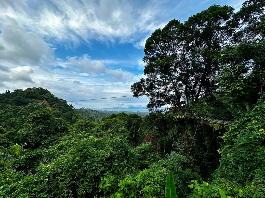 Tan Rua Waterfall景点图片