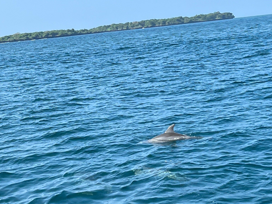 The Safari Side Travel Agency-Iten必去景点