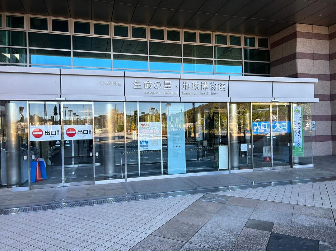 Kanagawa Prefectural Museum of Natural History景点图片