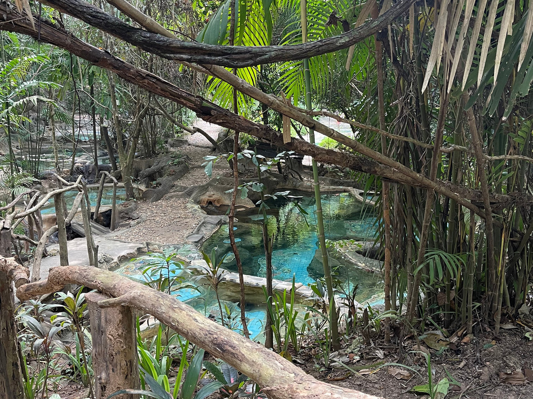 Wareerak Hot Spring & Wellness景点图片